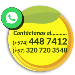 Conversemos en línea