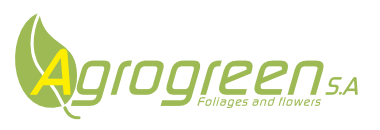 Welcome to Agrogreen S.A. - Follages and Flowers